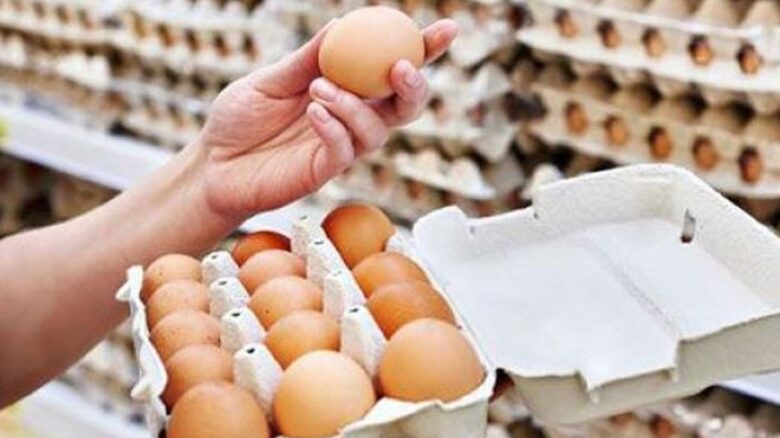 سعر كرتونة البيض في لبنان_99997845679654763333