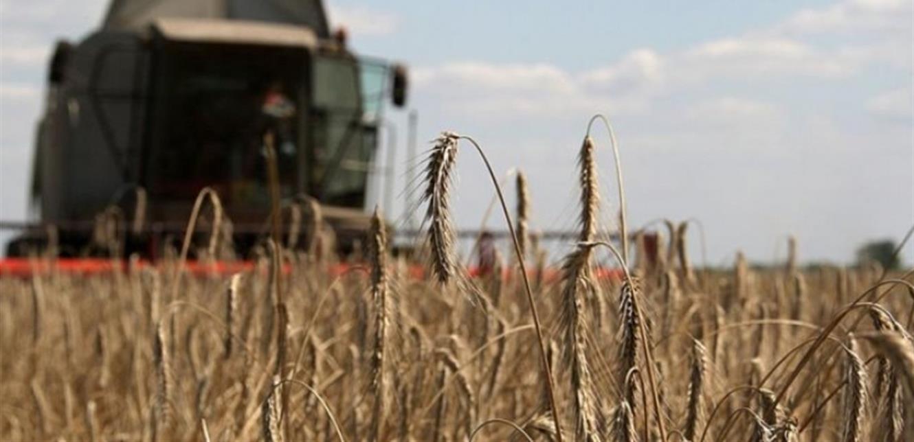 Doc P 922173 637812776961425465