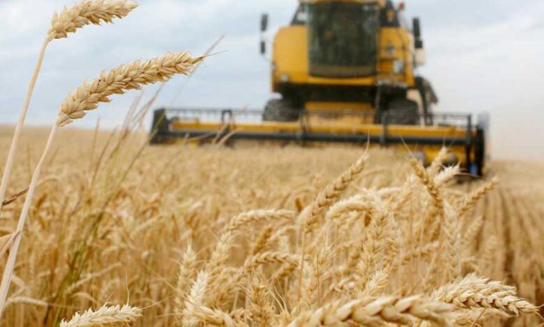 8eb1bca4f26ab0881ed7b201070c2407 780x470 1