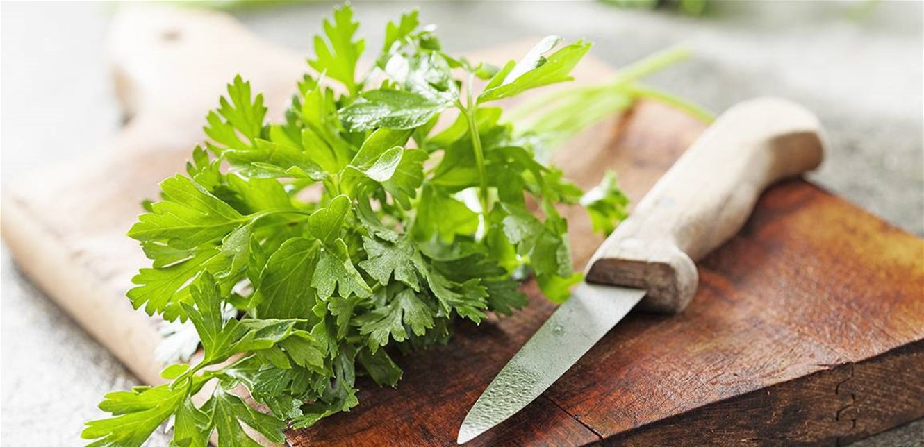 Doc P 935527 637838994952679744