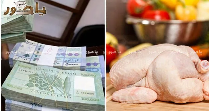 أسعار الدواجن في لبنان_9999875649876453333
