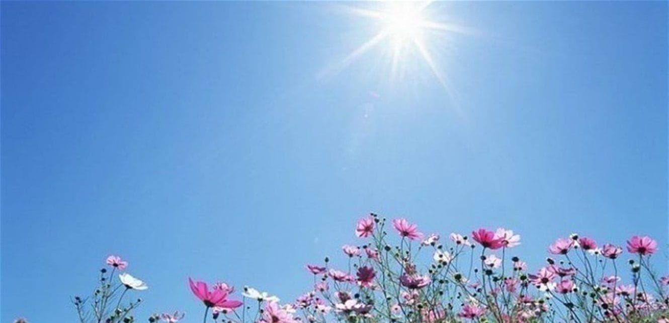 Doc P 962603 637909669270079077