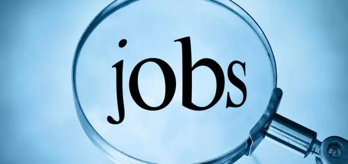 jobs opportunities_99999784567894978564789999976433333