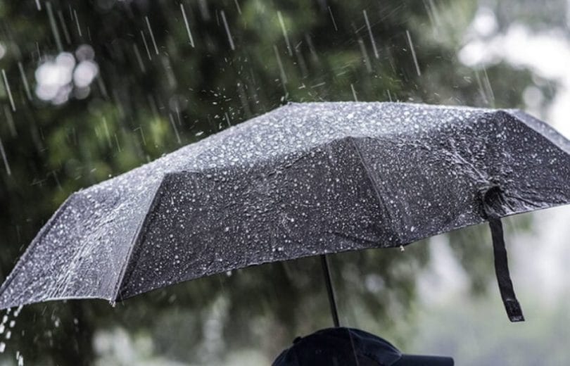 2022 11 05 9 26 308991