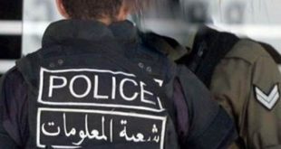 شعبة المعلومات 9999999997469784697469784569846974963333