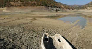 جفاف سوريا 2025